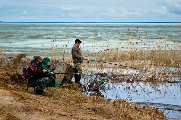 запрет на весеннюю рыбалку в московской области